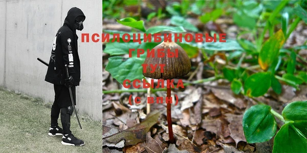 амфетамин Алексин