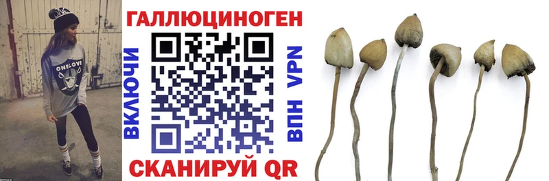 гидра зеркало Бугуруслан Псилоцибиновые грибы Psilocybine cubensis